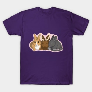 Three Magical Friends T-Shirt